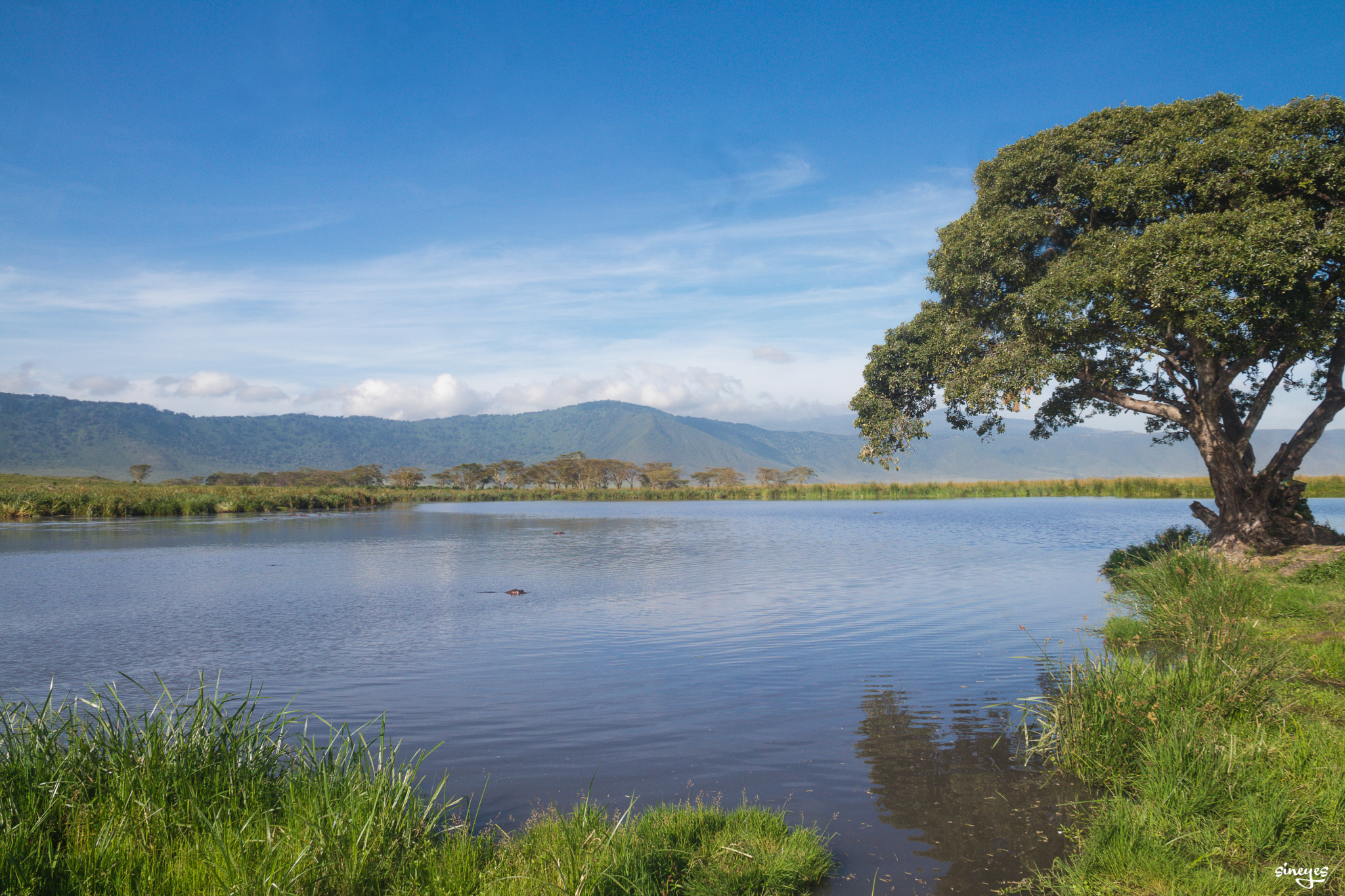 Ngorongoro by sineyes