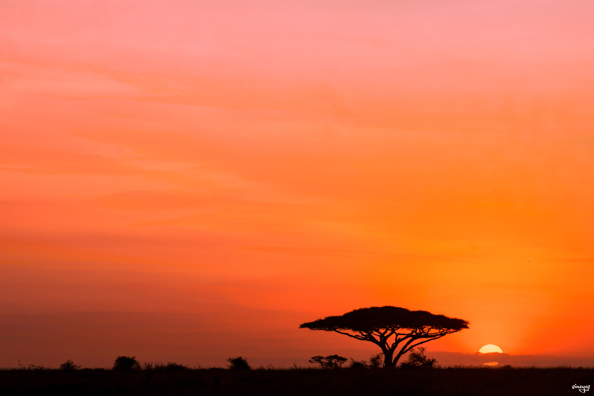 Serengeti sunset by sineyes